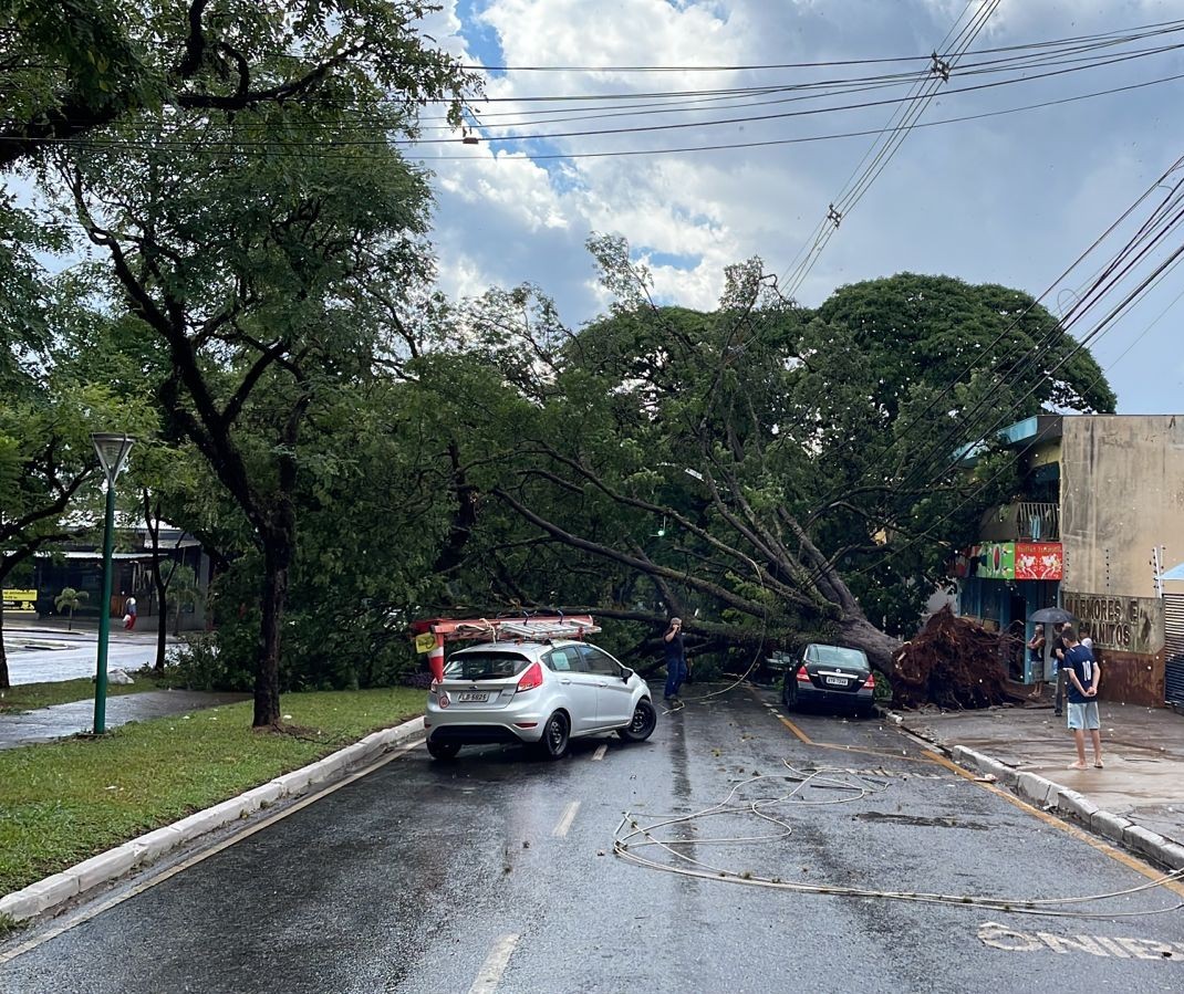 Chuva derruba árvores e deixa sete mil imóveis sem luz em Maringá