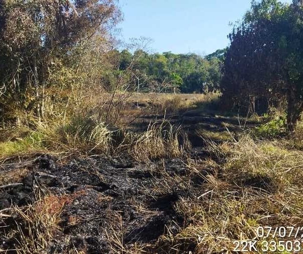 Dono de sítio é multado em R$ 30 mil por destruir vegetação nativa na região