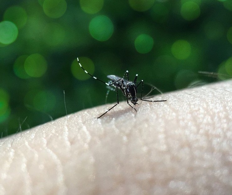 Duas cidades da região noroeste do Paraná estão em epidemia de dengue e outras seis em alerta