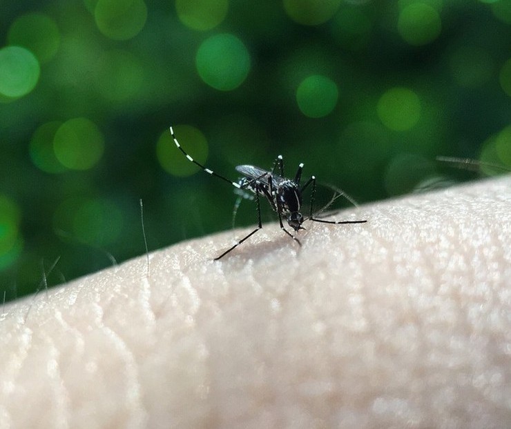 Duas cidades da região noroeste do Paraná estão em epidemia de dengue e outras seis em alerta