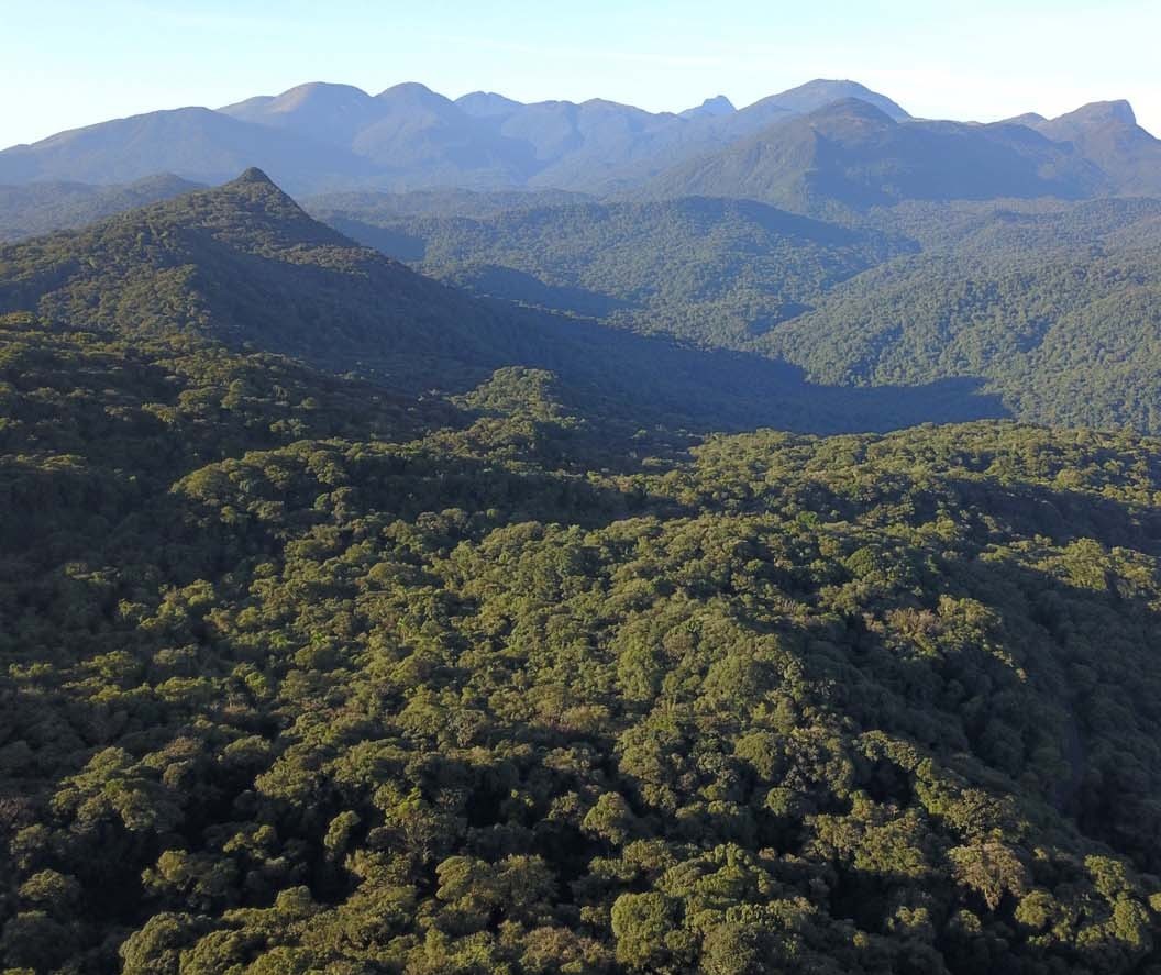 Código Florestal Brasileiro completa 10 anos 
