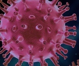 Confira os dados sobre o coronavírus deste domingo (27) 