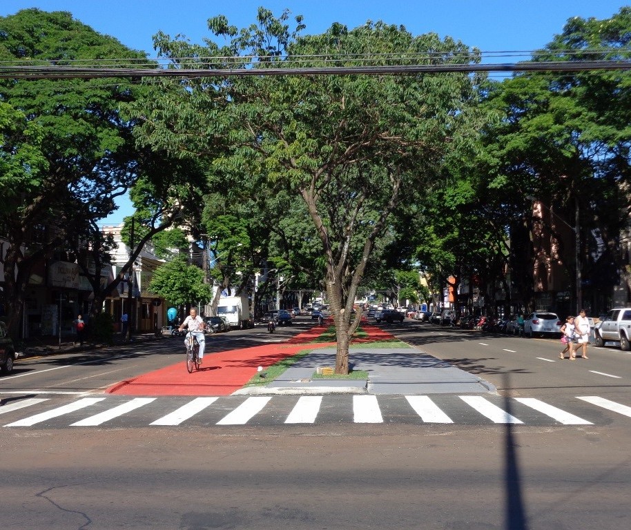 Avenida Brasil deve ser revitalizada