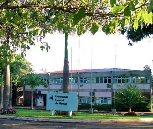 Sem aulas presenciais, UEM terá projetos de extensão online