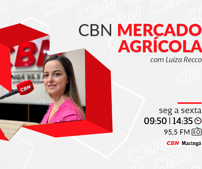 Mandioca custa R$1.214,11 na média regional