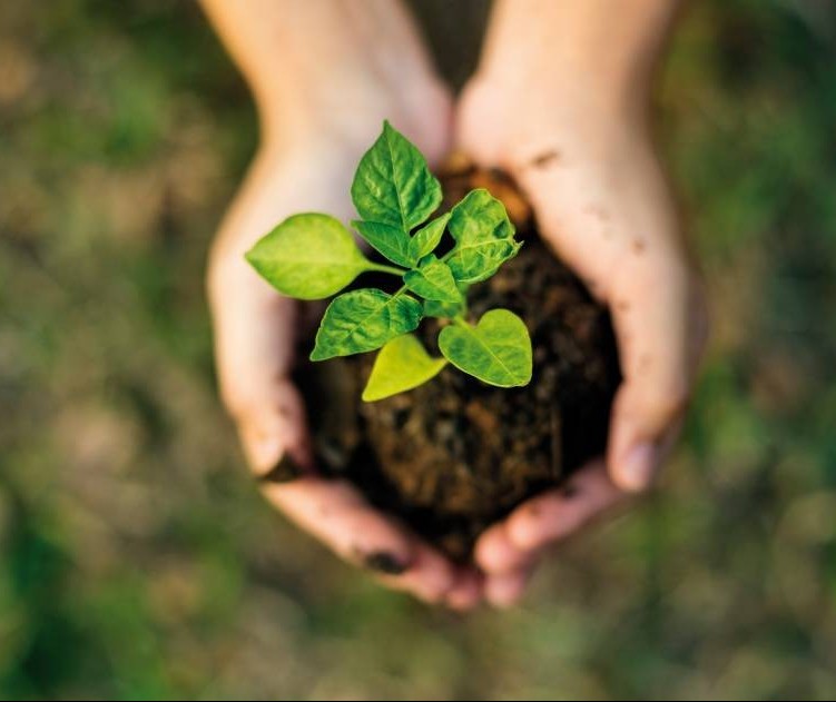 Financiamento da sustentabilidade será assunto de workshop em Curitiba