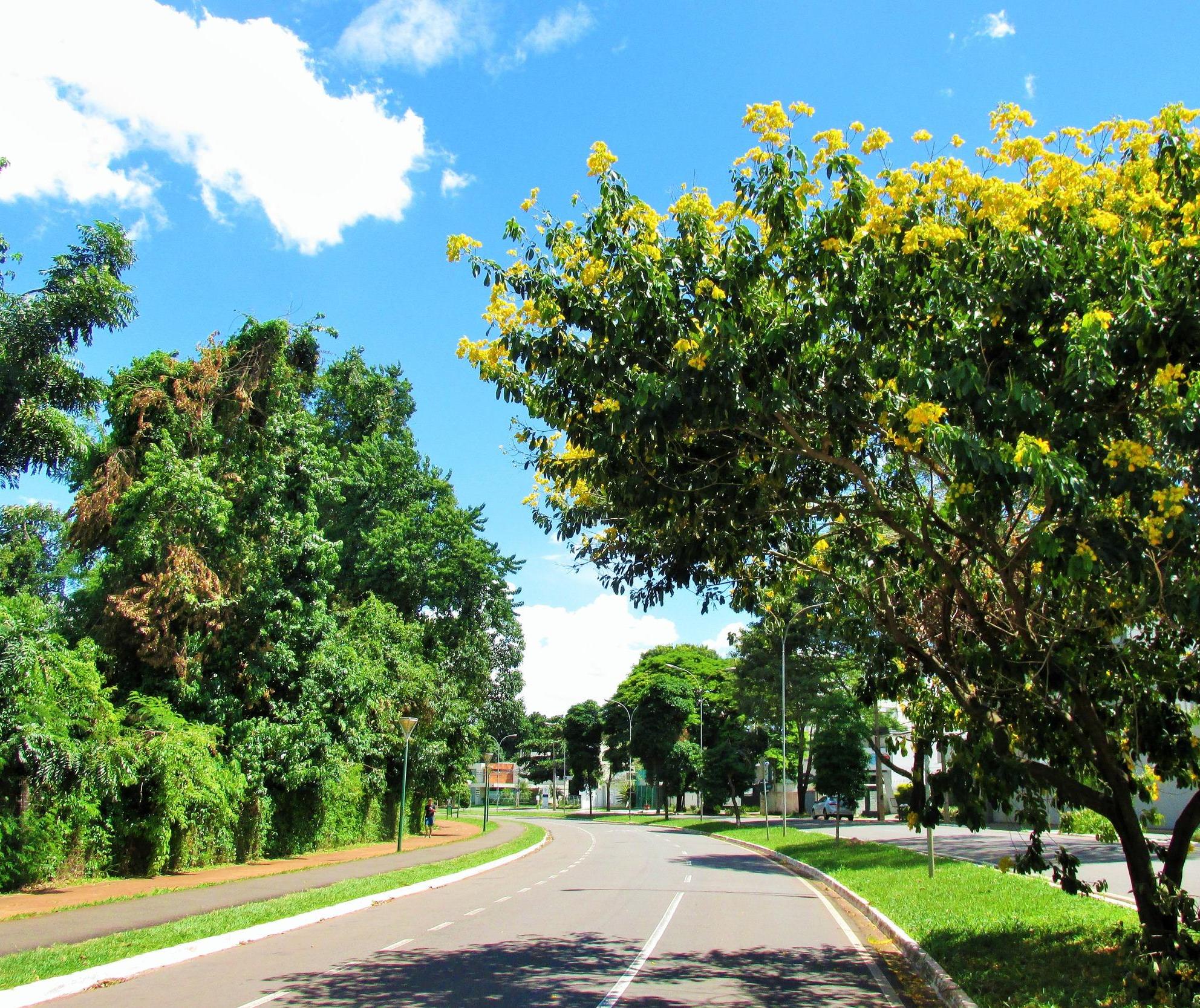 Calor predomina nesta sexta (16) em Maringá, com previsão de chuva para o fim de semana