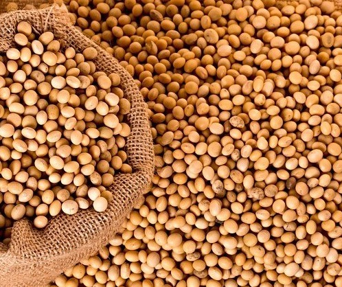 Soja custa R$ 71,50 a saca em Campo Mourão
