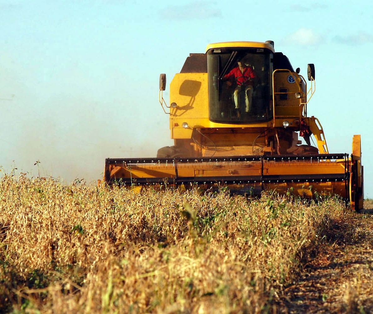VBP agropecuário do Paraná de 2019 pode atingir R$ 93 bilhões