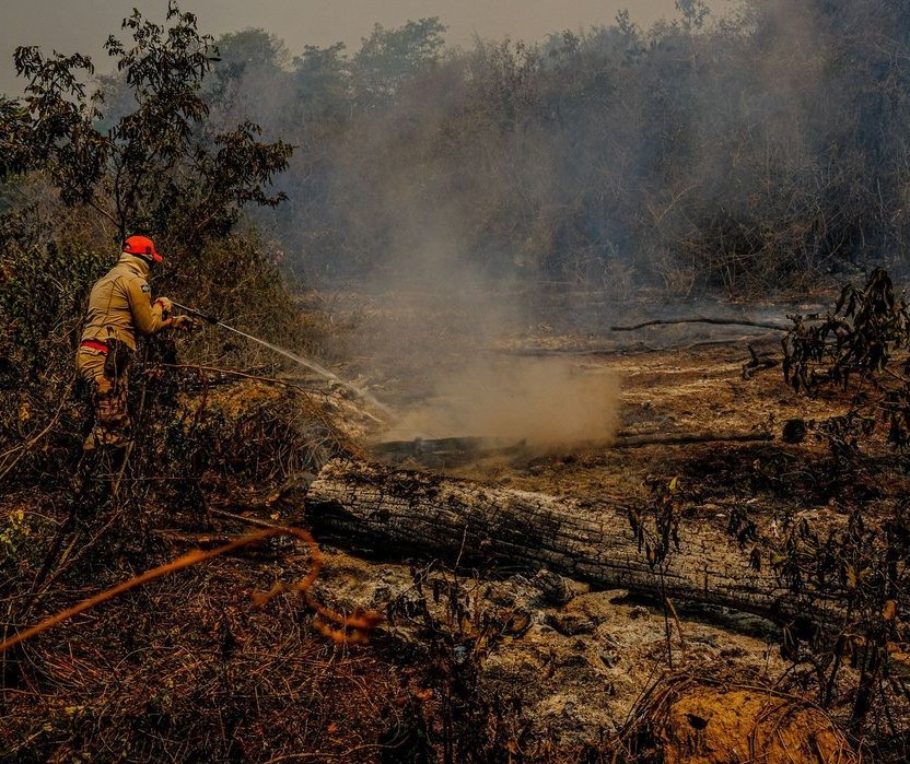 30 bombeiros do Paraná vão ajudar no combate ao fogo no Pantanal