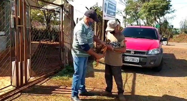 Galo volta para o dono e vai viver em chácara