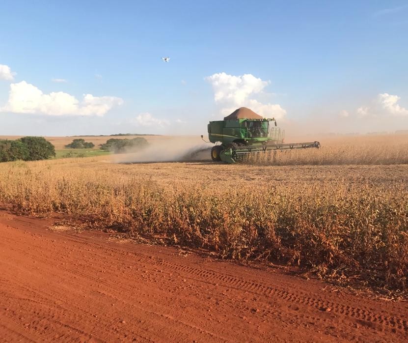 Vamos falar sobre... agronegócios