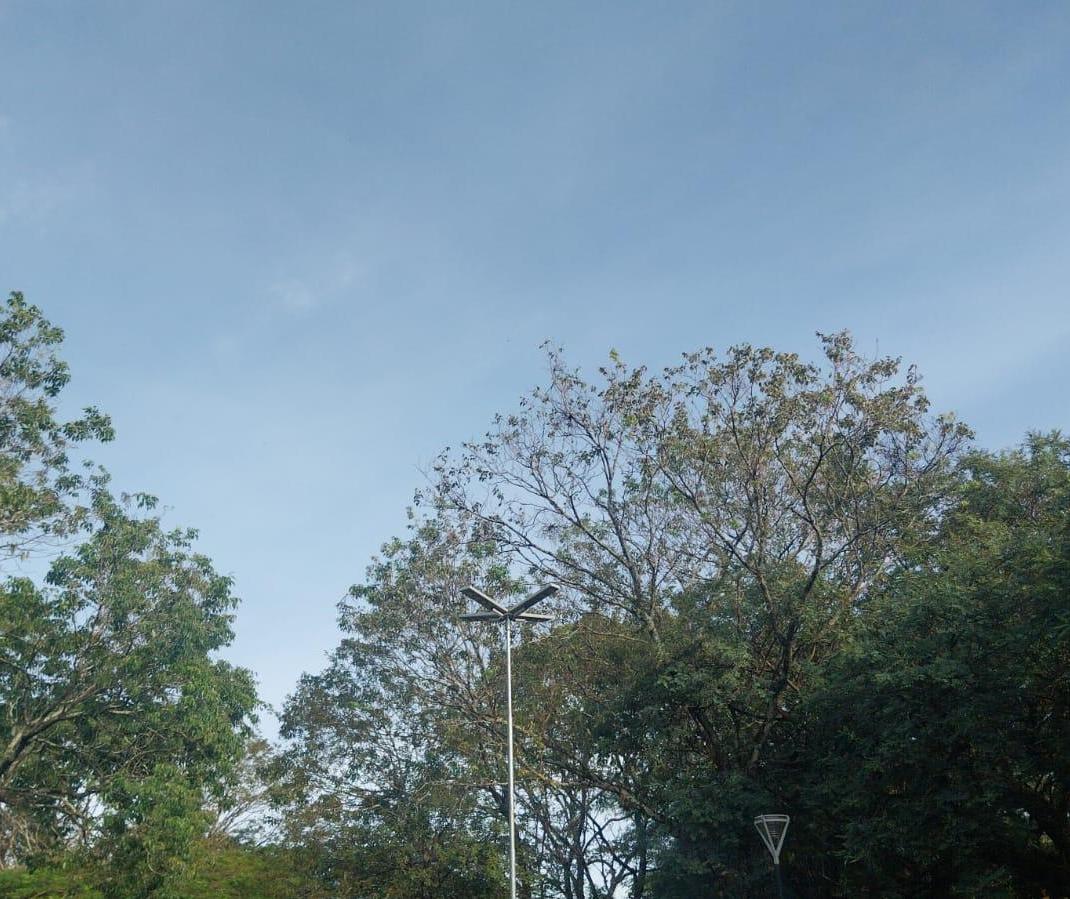 Sábado de tempo firme e temperatura máxima de 27ºC em Maringá