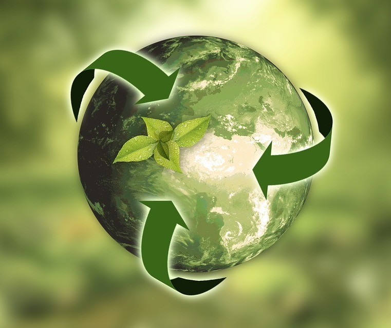Quatro estudos sobre futuro sustentável são apresentados ao Senado