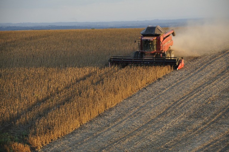 Confira as cotações agrícolas desta segunda-feira (27)