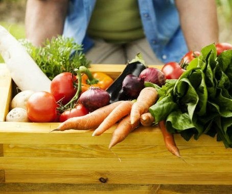 Quer aprender a manejar alimentos? Curso gratuito te ensina