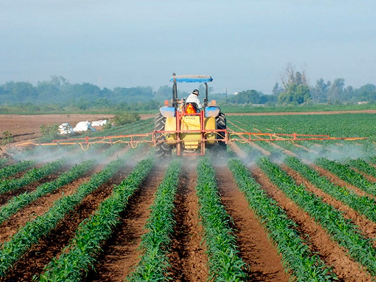 Como é produzir grãos no Amapá e Bolívia?