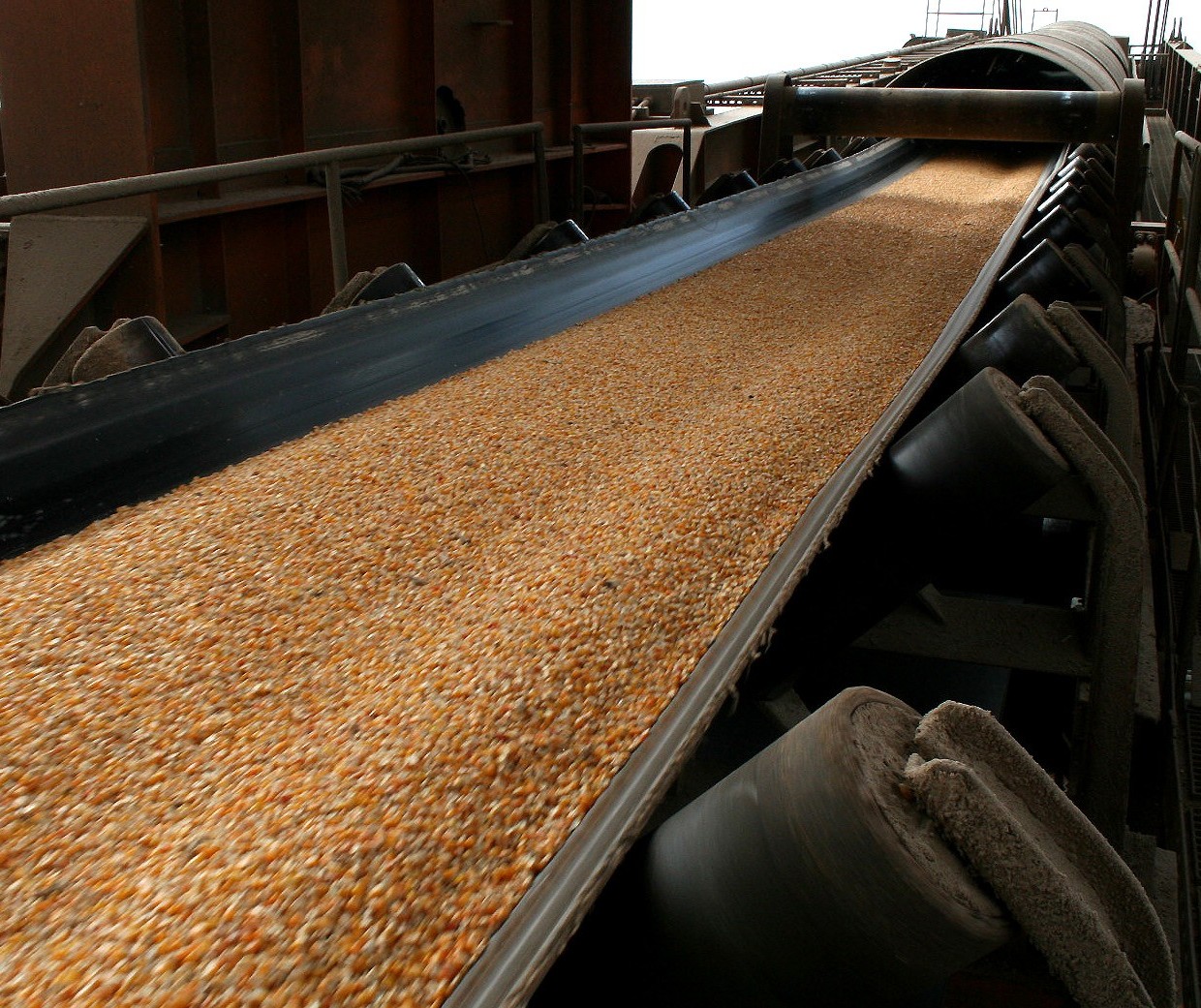 JBS importa milho para usar como ração no sul de Santa Catarina