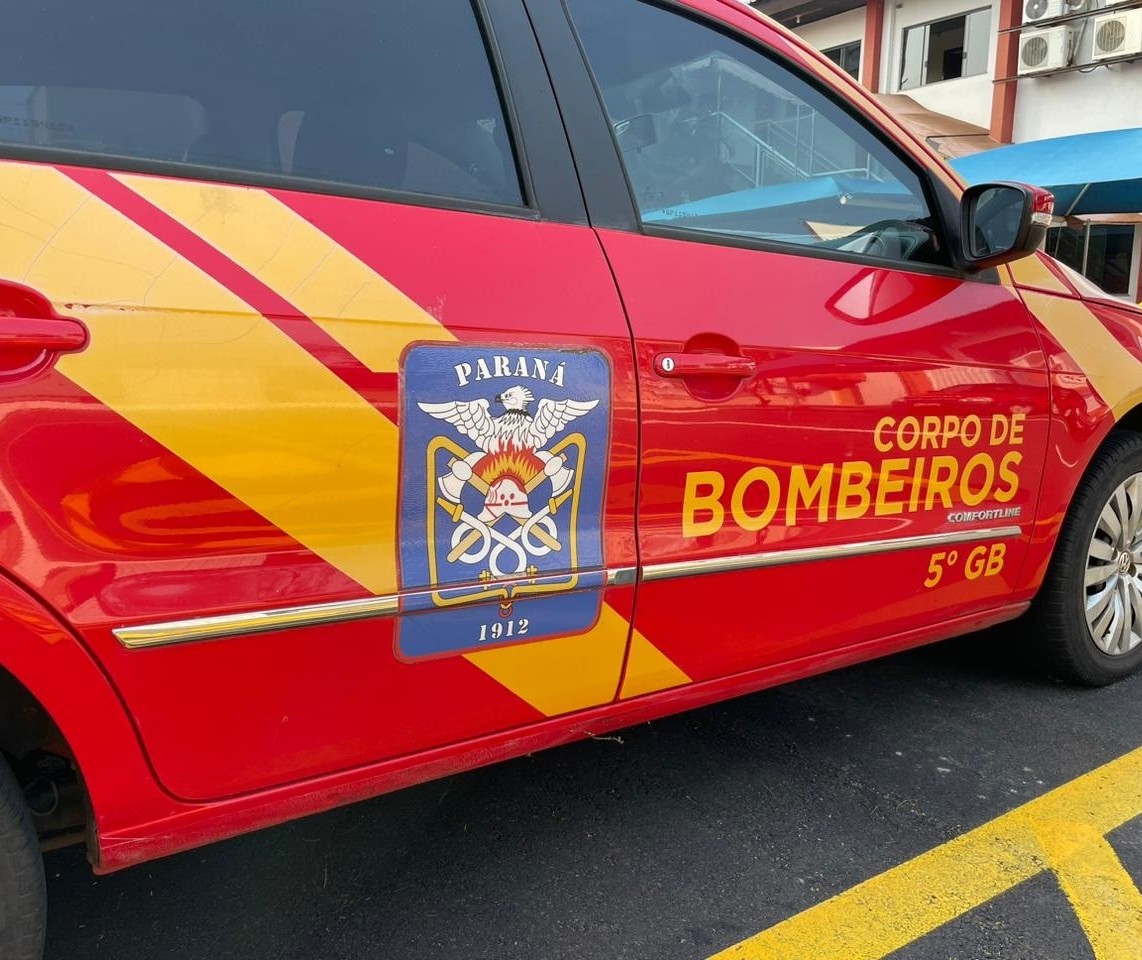 Mulher é vítima de ataque de abelhas em Sarandi