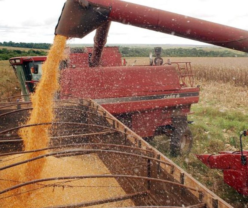 Guerra da Ucrânia eleva preços dos grãos no mercado internacional