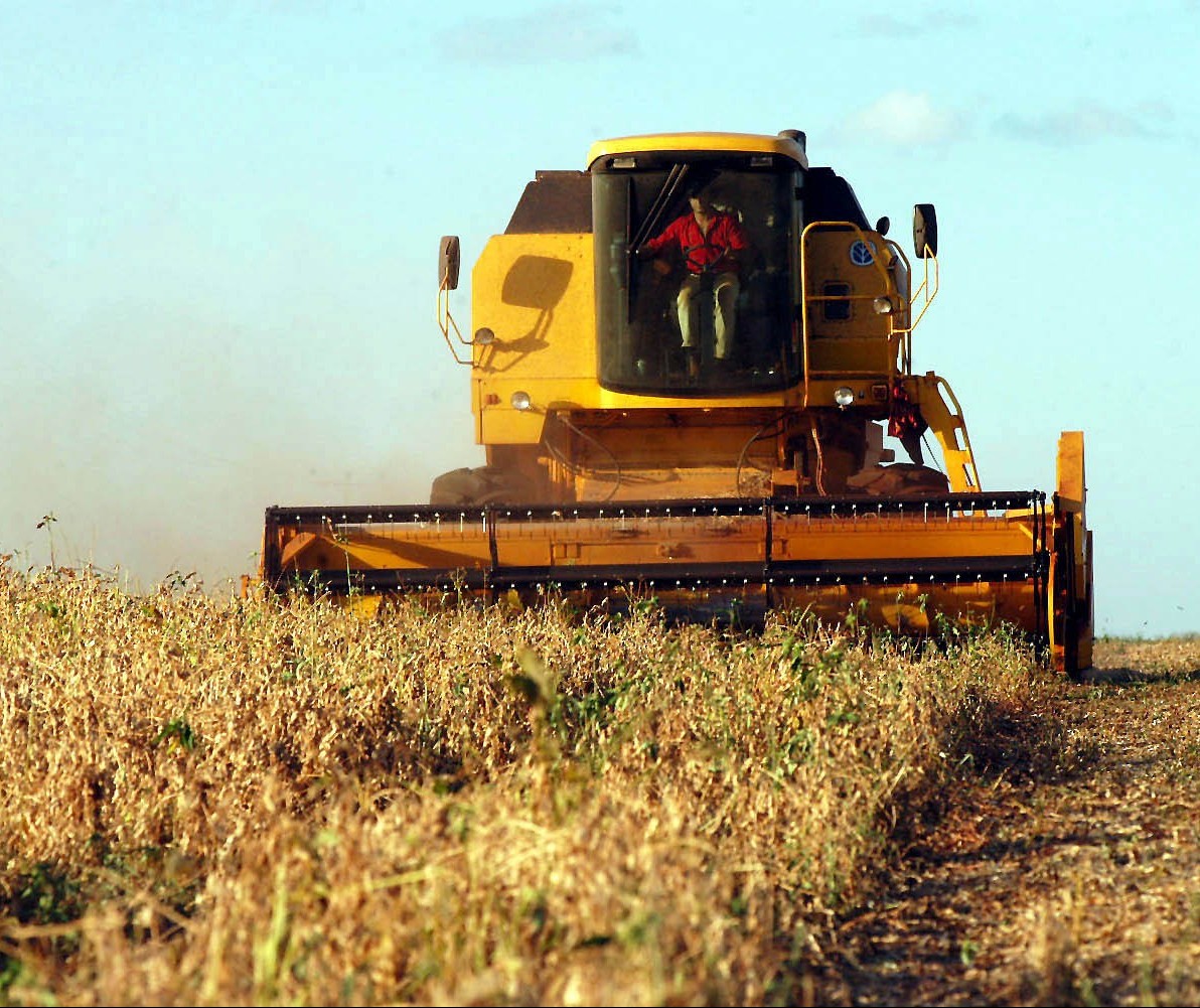 Plantio antecipado e forte calor adiantam colheita da soja no Paraná