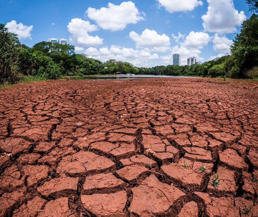 Estiagem: Vegetação avança sobre área que era do lago do Parque do Ingá