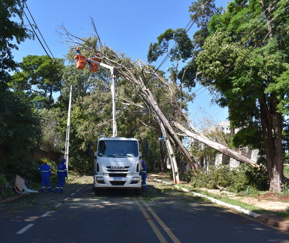 Copel já atendeu 1,6 mil ocorrências em Maringá, Sarandi e Paiçandu desde o início do temporal