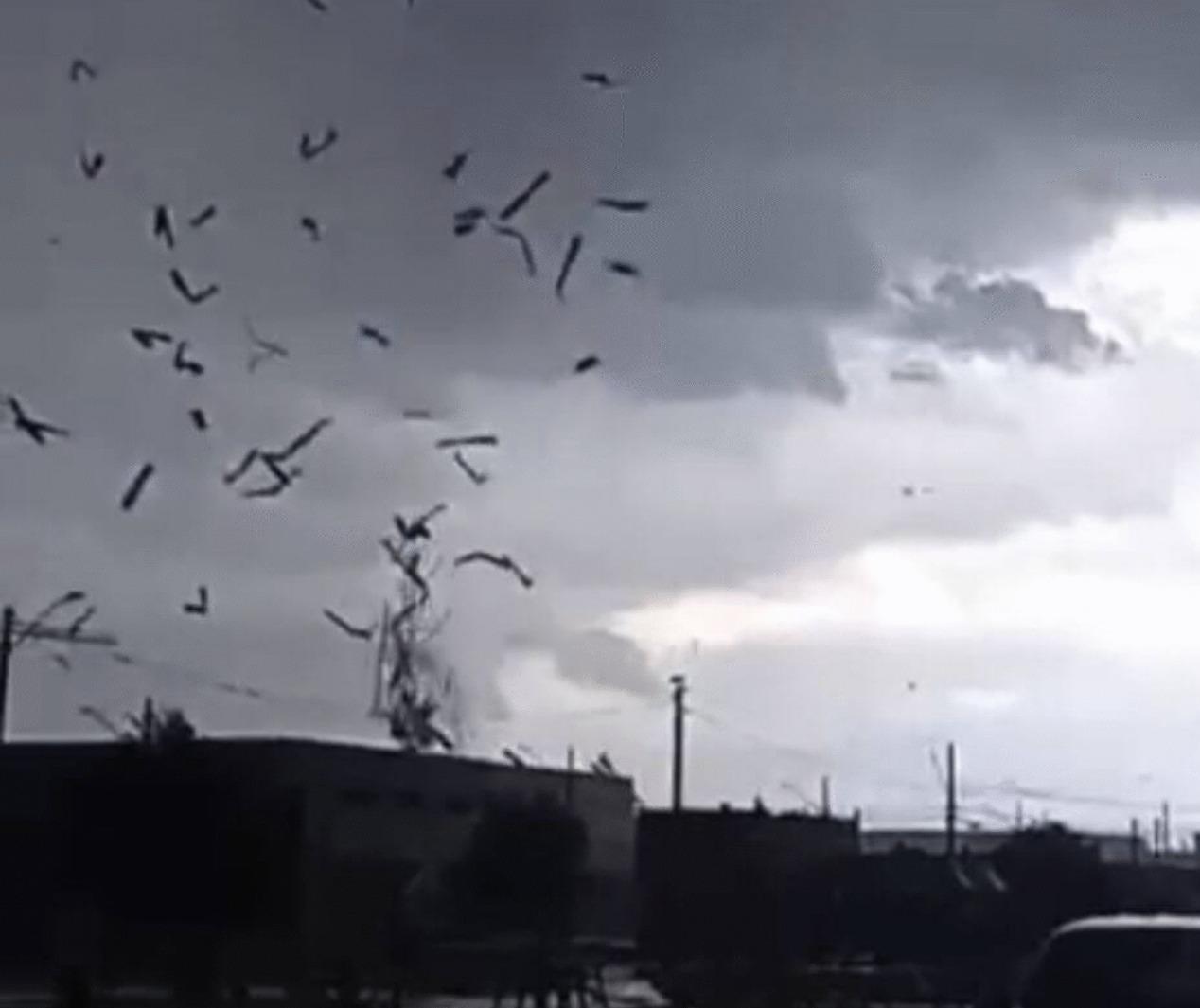 Simepar confirma tornado em São José dos Pinhais após temporal