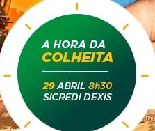  Hora da Colheita debate o agronegócio no Paraná