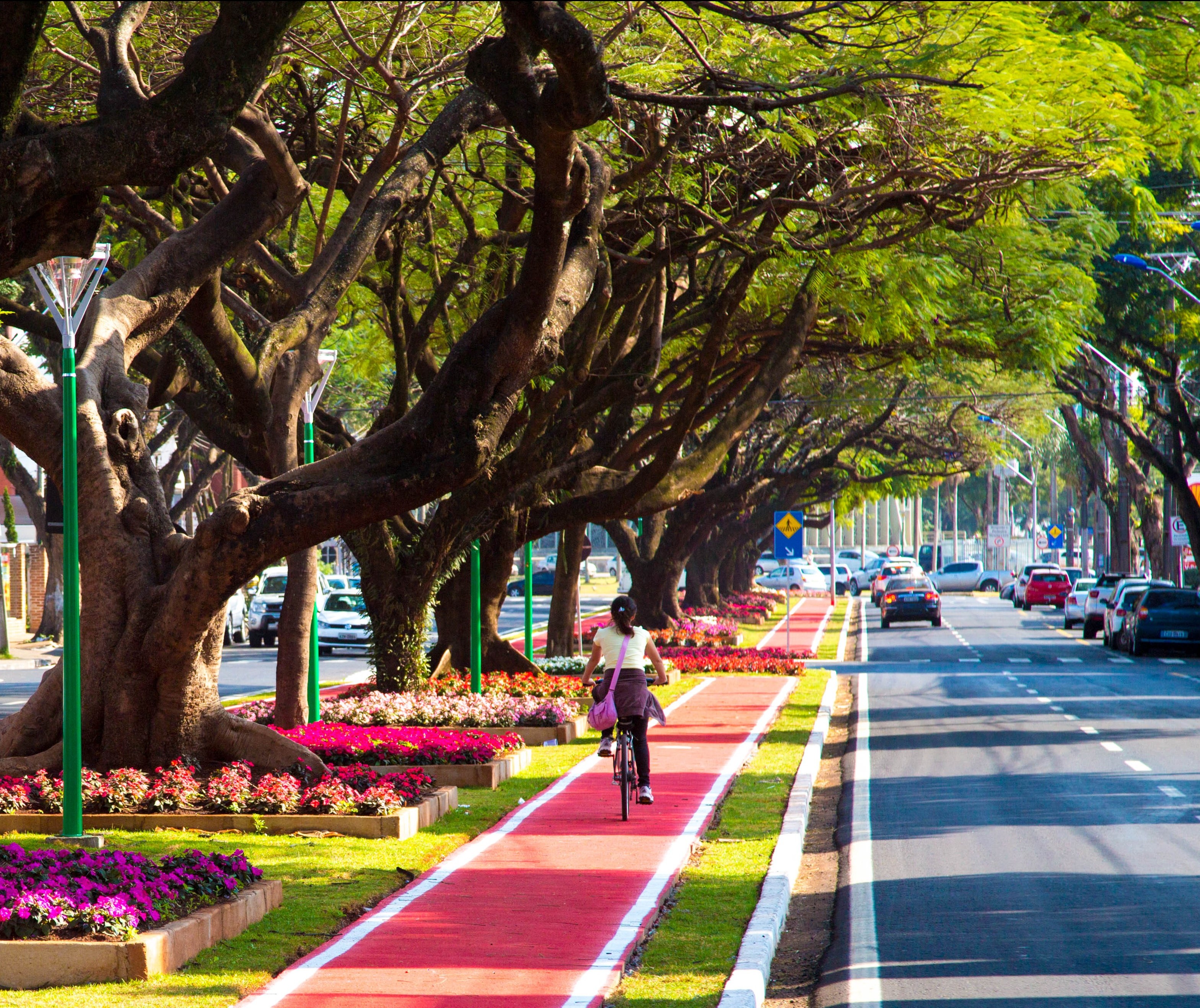 Novas ciclovias começam a ser construídas em Maringá