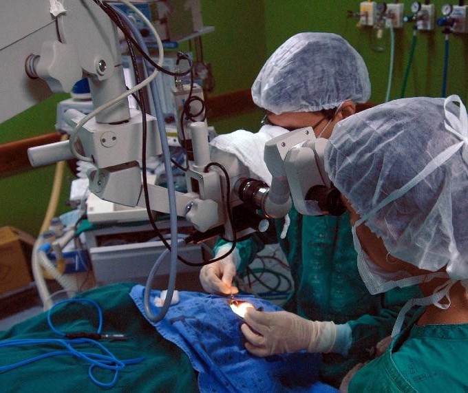 Paraná registra quase 130 transplantes de medula óssea