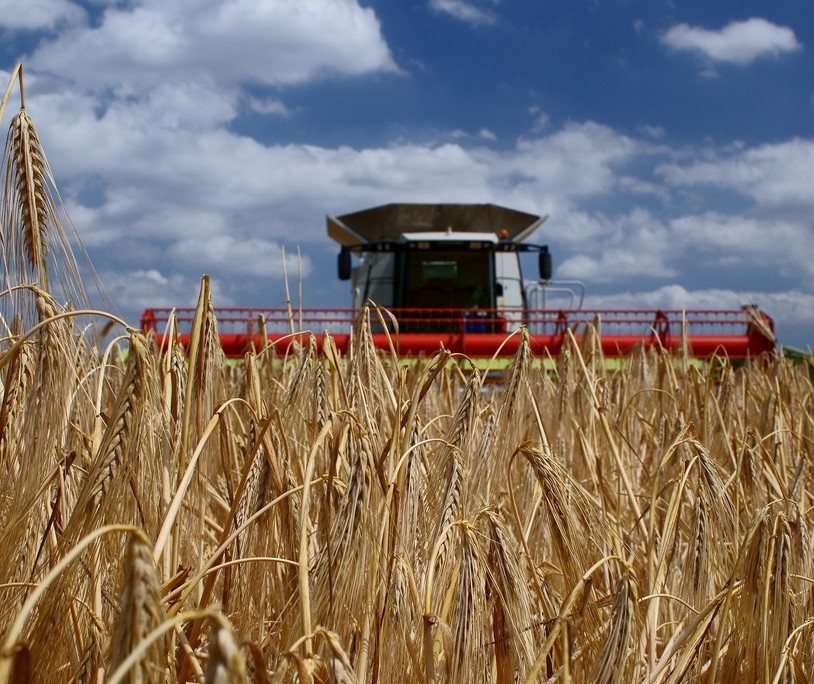 Produtividade agropecuária cresce no Brasil