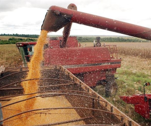 Brasil amplia em 29% as vendas externas de soja em relação a 2018