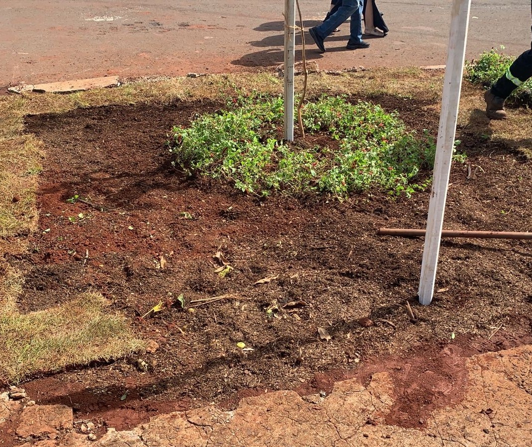 Projeto revitaliza áreas públicas para evitar o descarte de resíduos sólidos