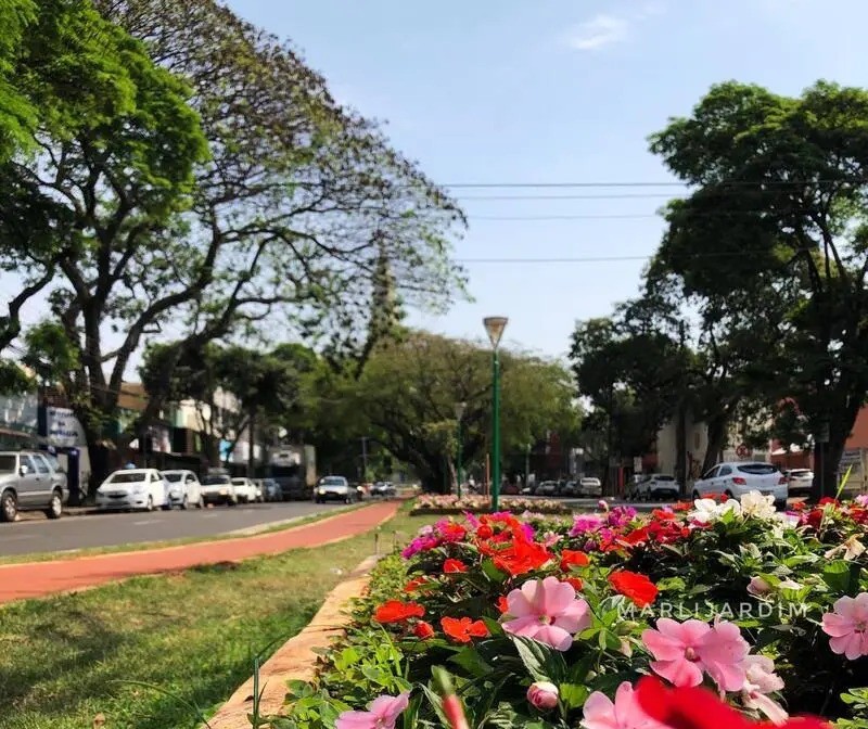 Tempo segue firme em Maringá neste domingo e máxima chega a 35ºC